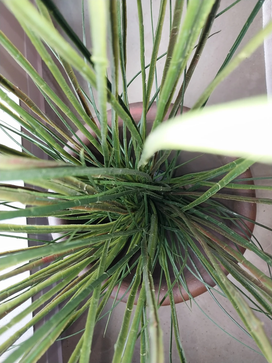 40” Artificial IKEA Plant w/ Black Pot – Indoor/Outdoor Decor - photo 4