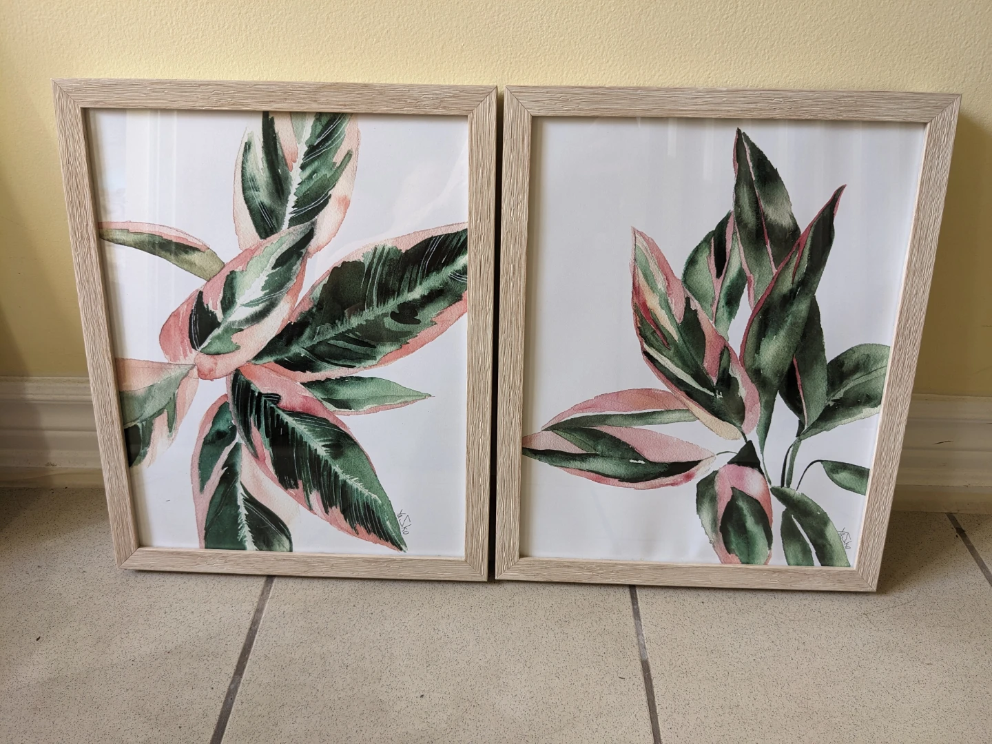 Set of 2 Framed Plant Art Prints wall decor