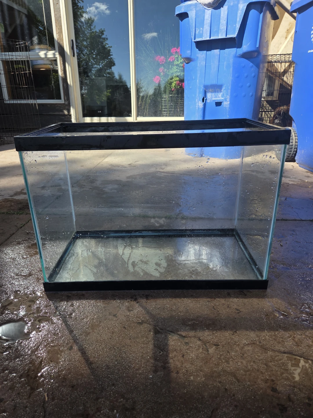 Glass Aquarium Tank large
