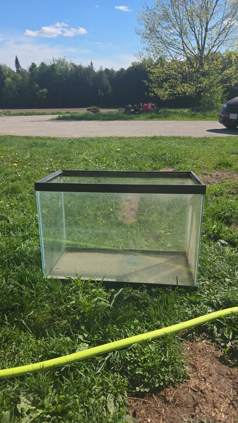 Glass Aquarium Tank large - photo 3