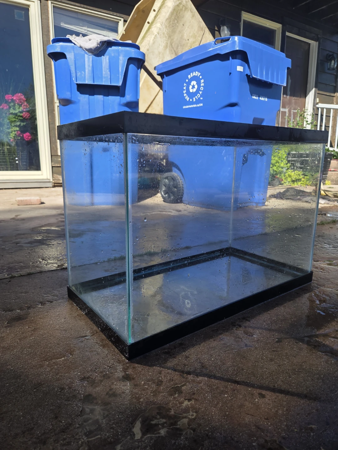 Glass Aquarium Tank large - photo 5