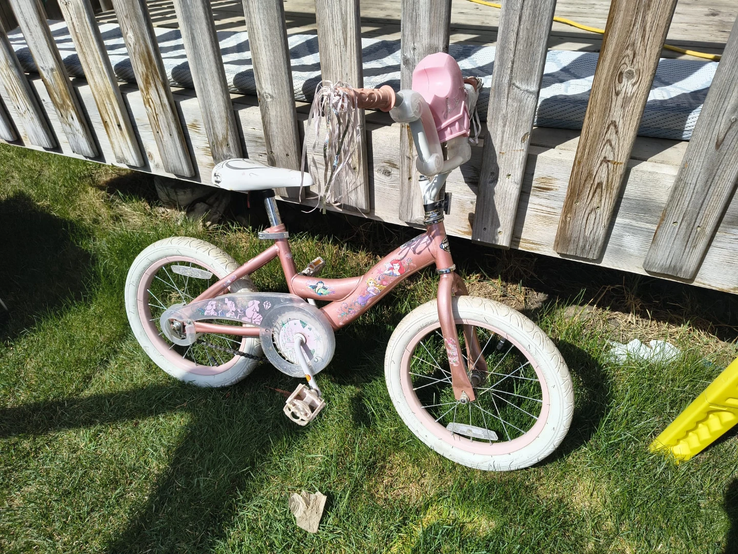 Princess Bike with Training Wheels