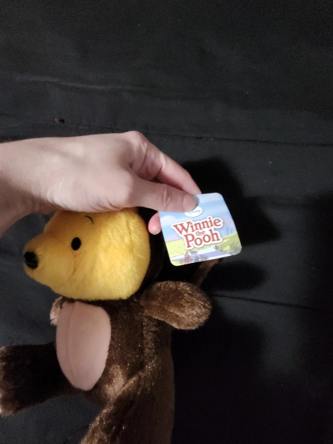 $10 winni pooh 5" - photo 2