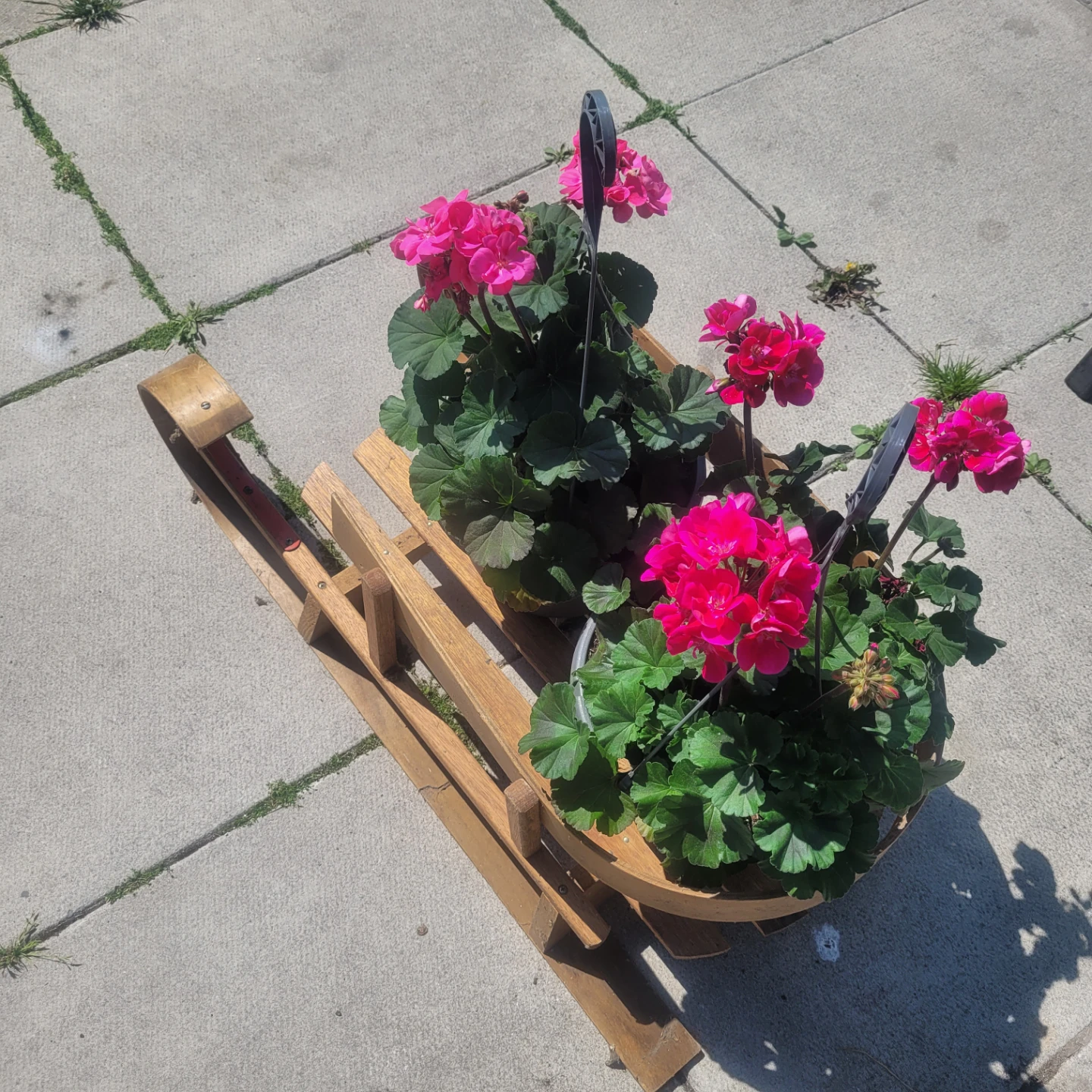 Vintage Wooden Baby Sled / Toddler Pull Toboggan - photo 2