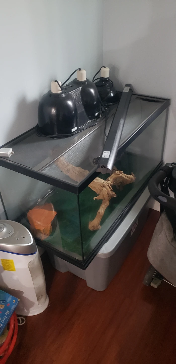 Reptile Tank Heat Lamp Fixture