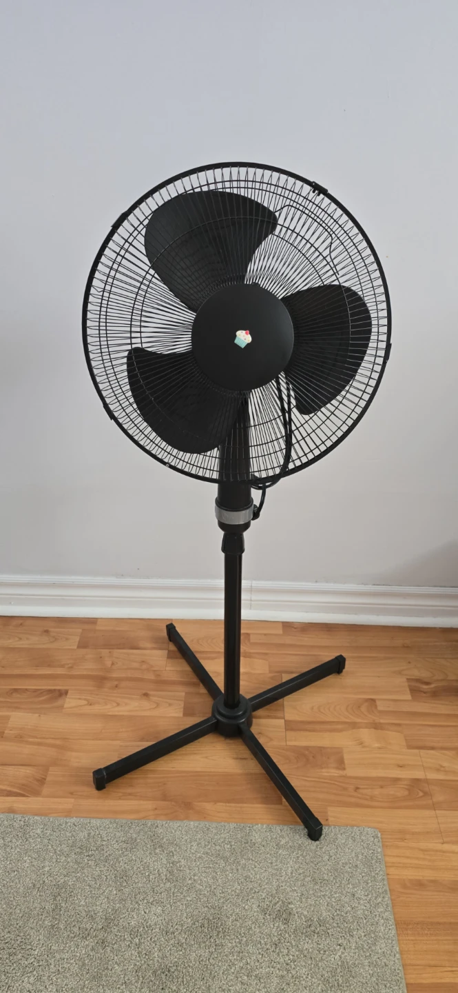 Black Pedestal Fan