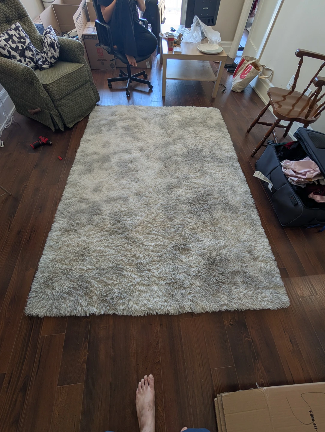 Fluffy Shag Area Rug