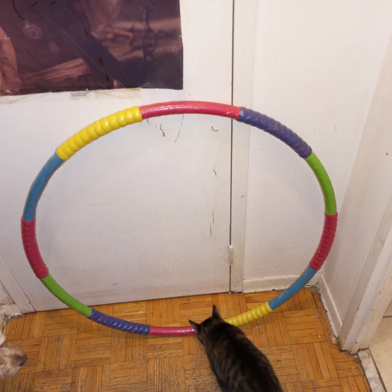 Colourful Exercise Hula Hoop