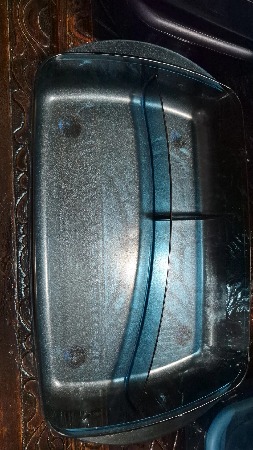 Tupperware Storage Container