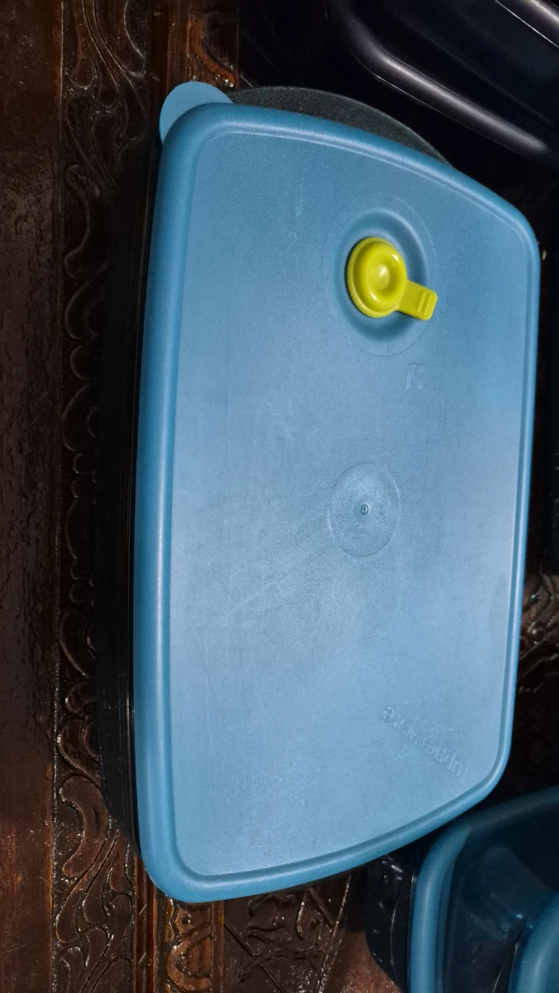 Tupperware Storage Container - photo 2