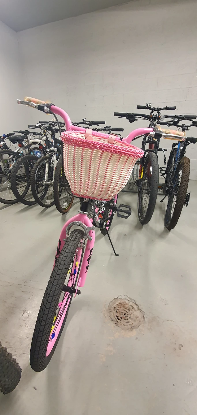 Avigo Rock Star Girls Bike with Basket - photo 3