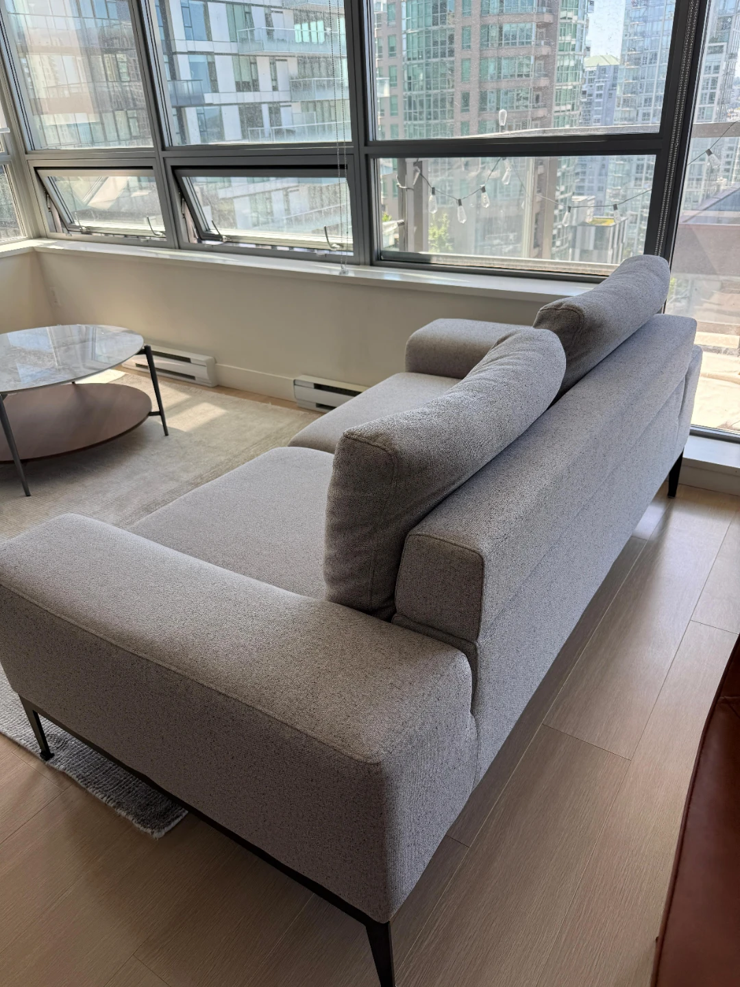 Modern Grey Sofa and Light Area Rug - photo 3