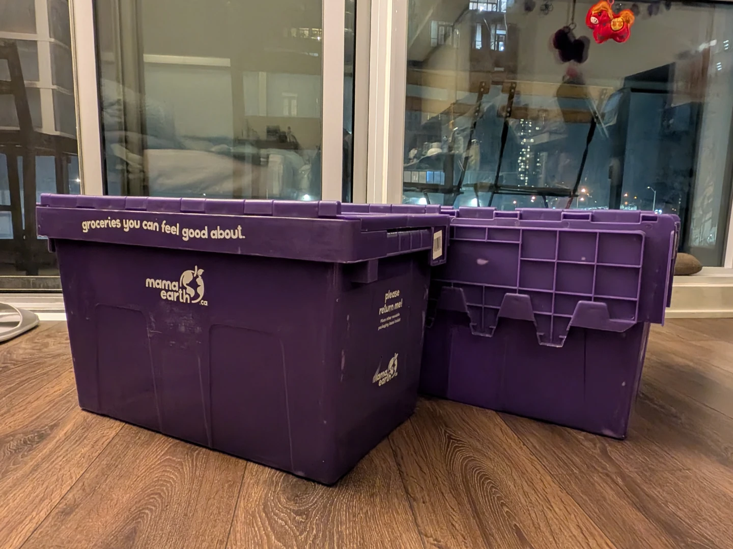 Mama Earth Reusable Storage Totes (2)