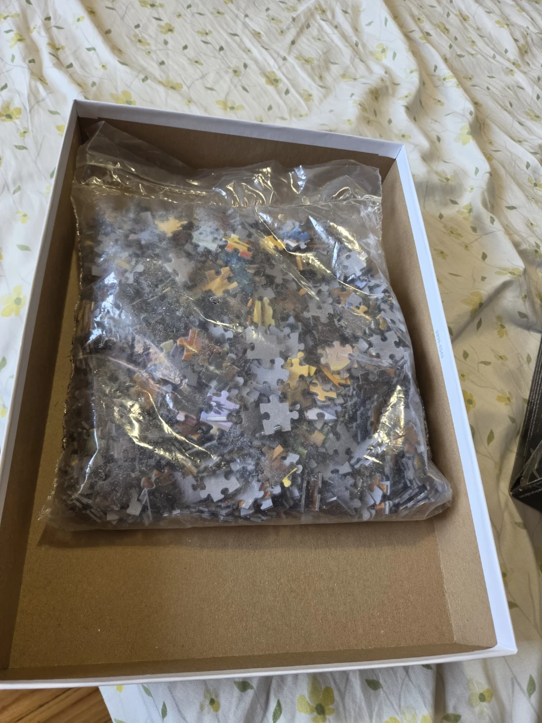 Moving sale - Eurographics 1000 Piece Puzzle - photo 2