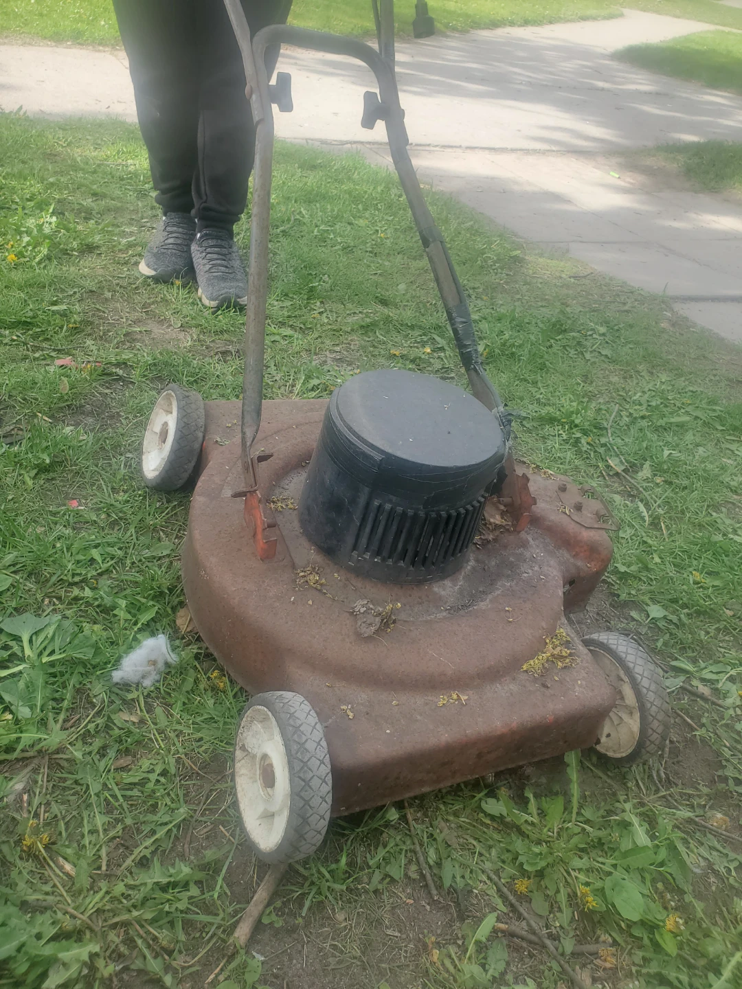 electronic Lawn Mower