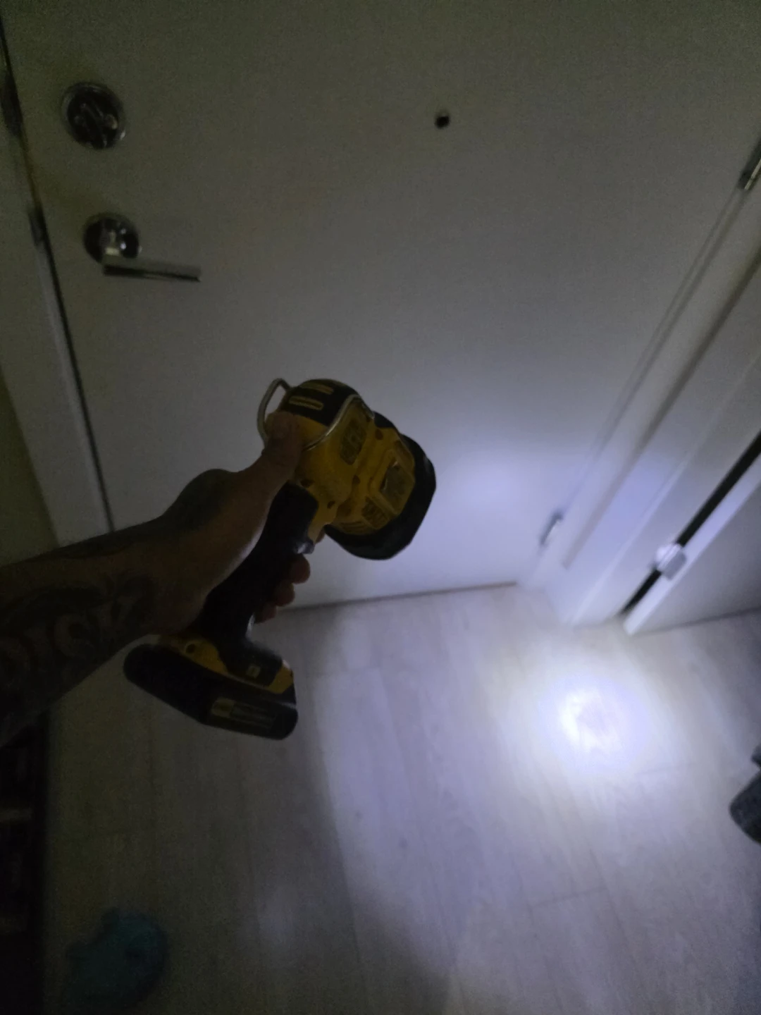 DeWalt 20V MAX Cordless Work Light - photo 4