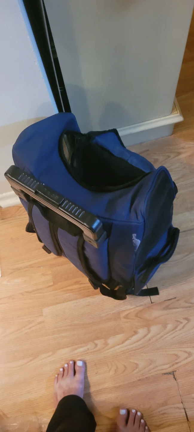 Blue Pet Carrier Rolling Bag - photo 3