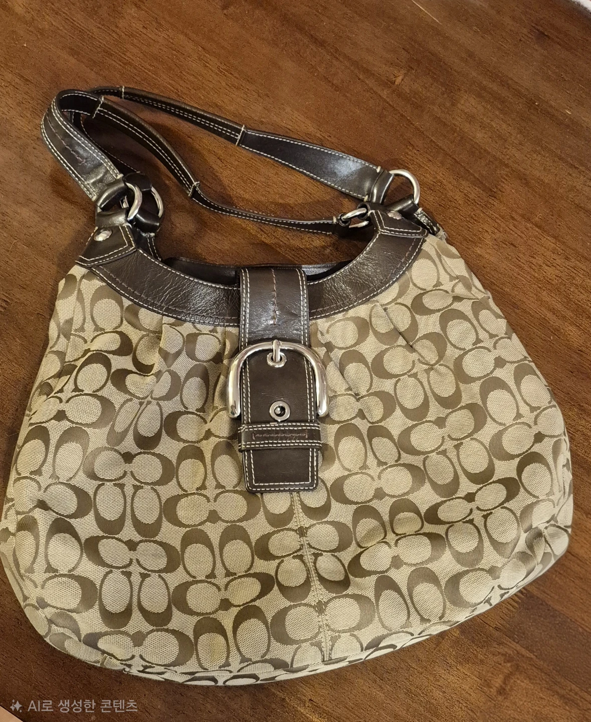 Coach Signature Canvas Hobo Bag