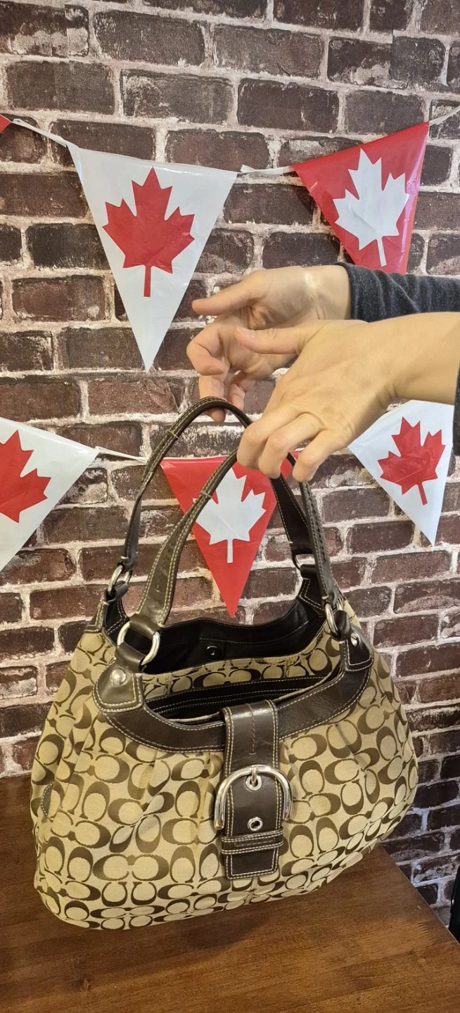 Coach Signature Canvas Hobo Bag - photo 4