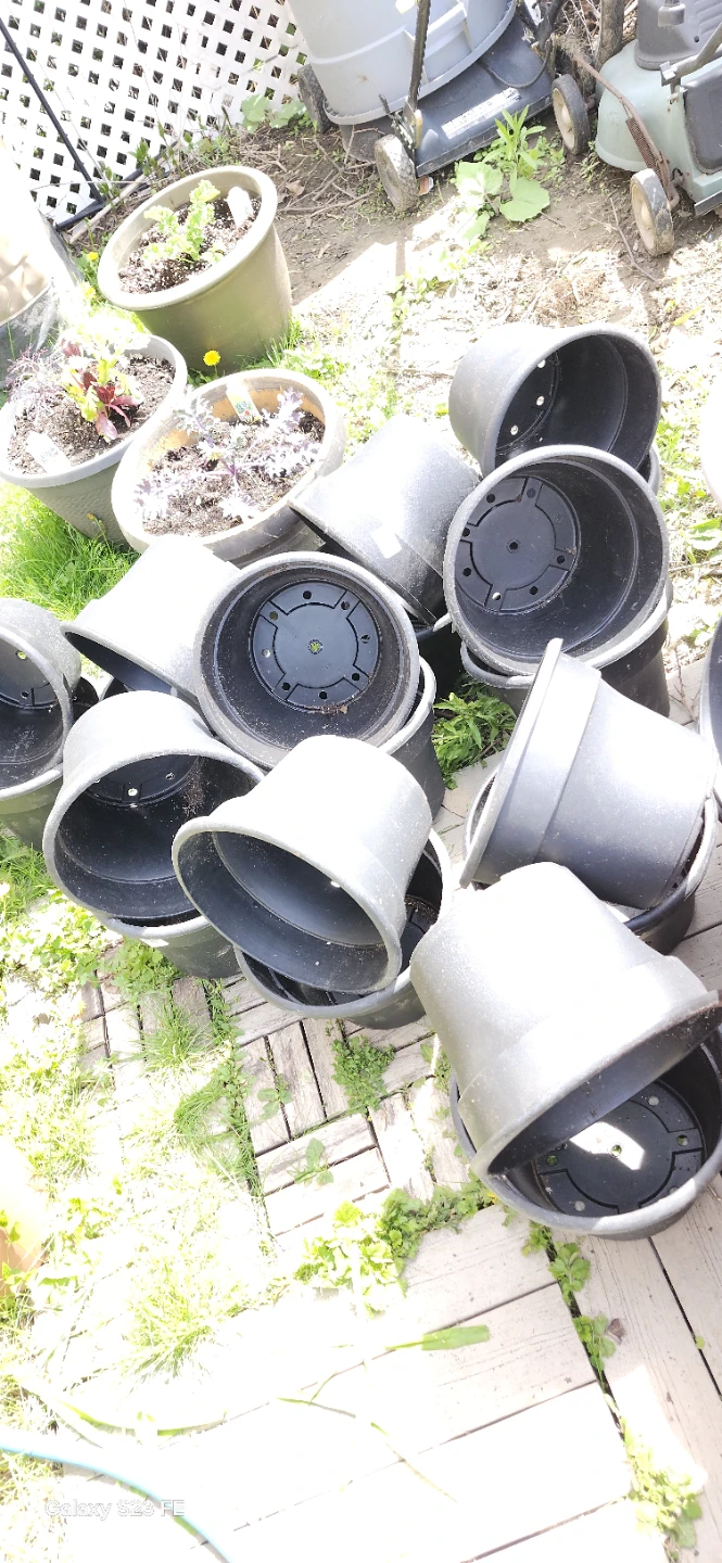 Assorted Black Plastic Plant Pots. $3 EACH ONE - photo 2