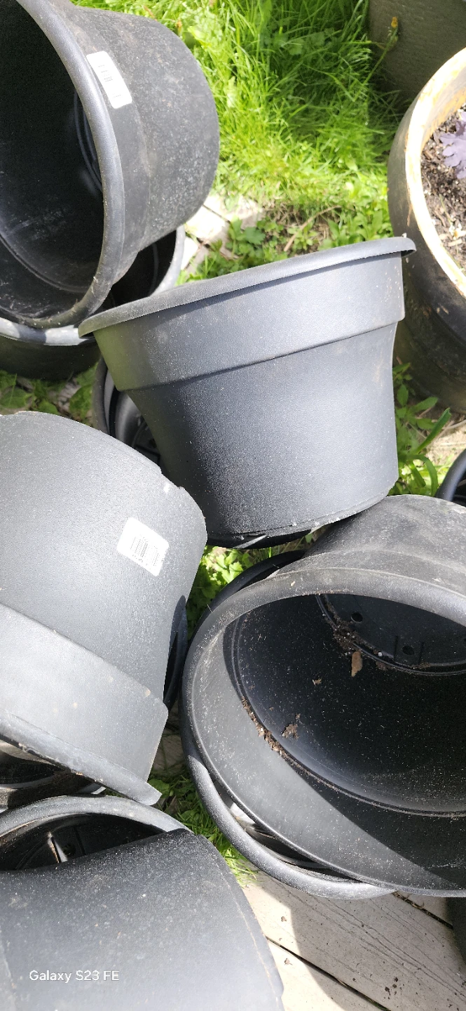 Assorted Black Plastic Plant Pots. $3 EACH ONE
