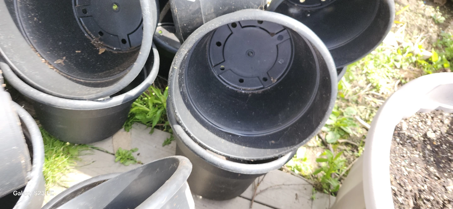 Assorted Black Plastic Plant Pots. $3 EACH ONE - photo 3