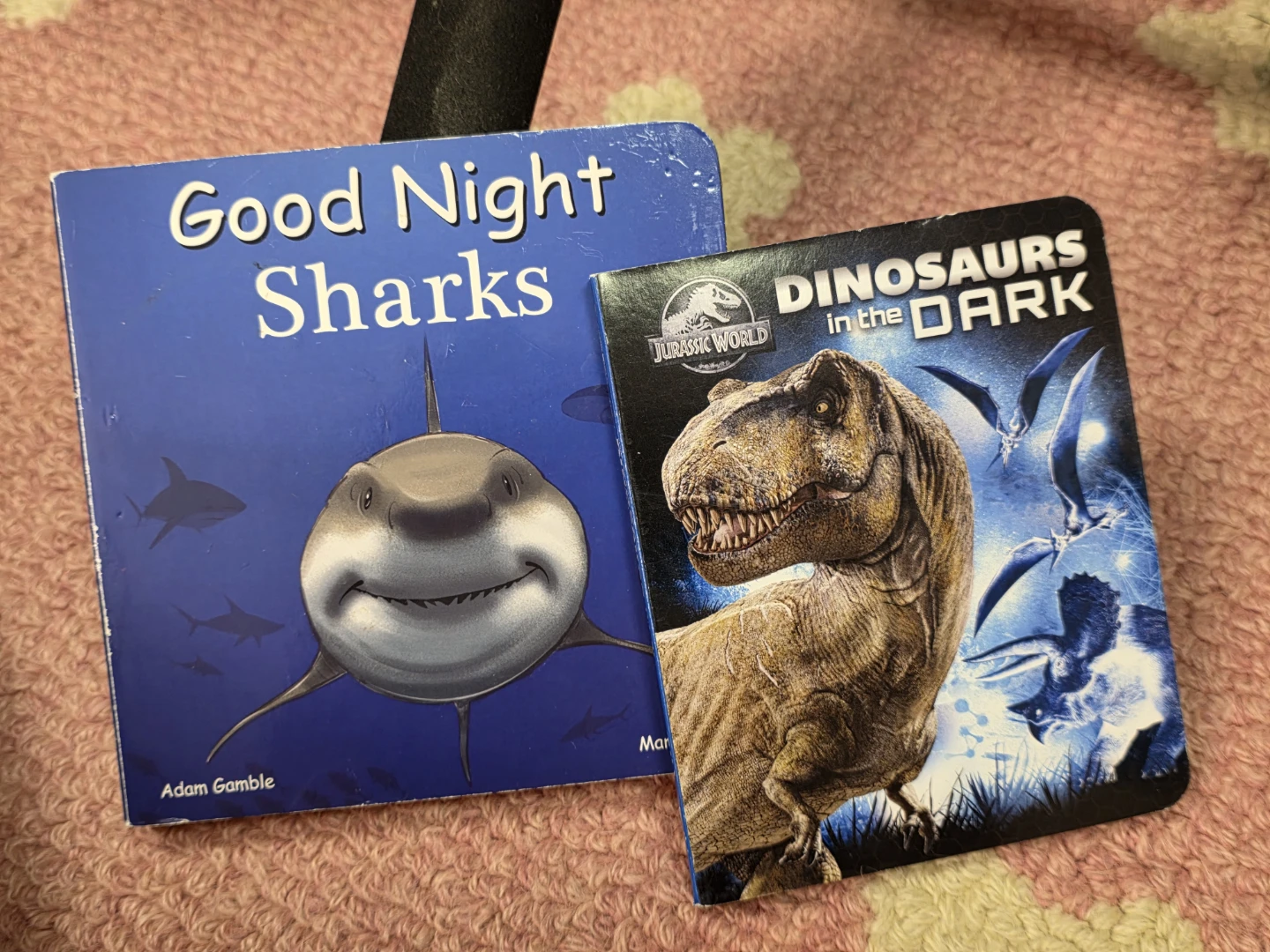 Good Night Sharks and Dinosaurs in the Dark Books