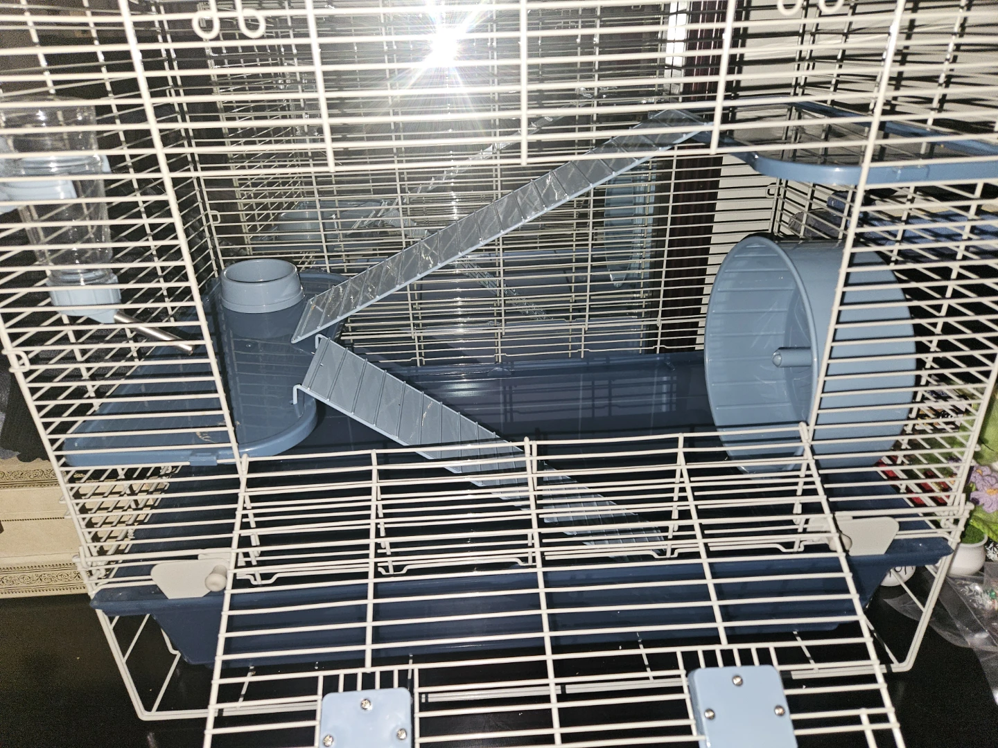 Full House Cheeks Hamster Starter Kit