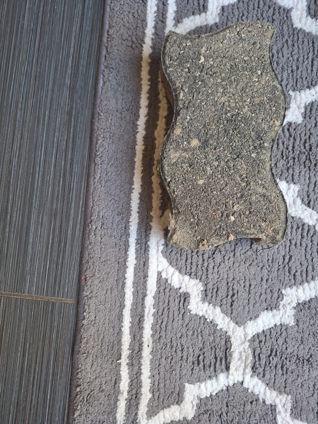 Interlocking Paving Stones
