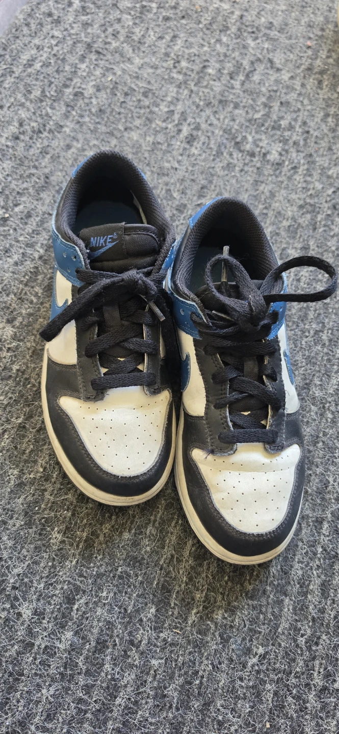 Nike Dunk Low GS 'Photon Dust' Sneakers