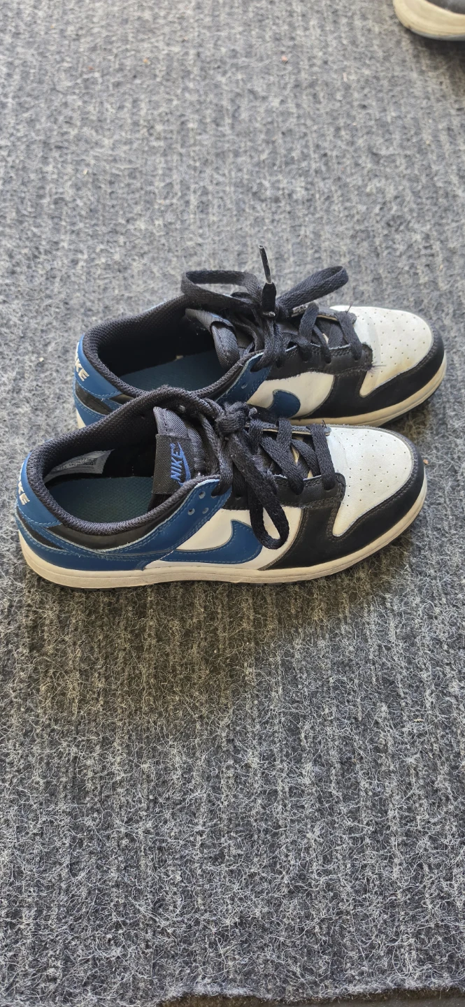 Nike Dunk Low GS 'Photon Dust' Sneakers - photo 2