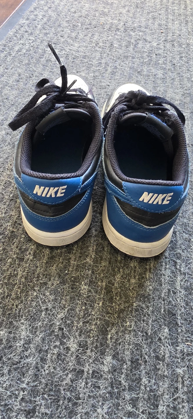 Nike Dunk Low GS 'Photon Dust' Sneakers - photo 3