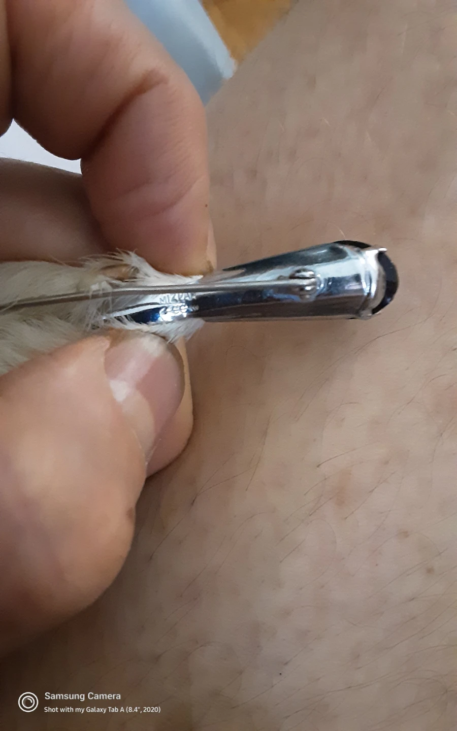 VINTEGE LUCKY GROUSE CLAW SILVER PIN! - photo 4