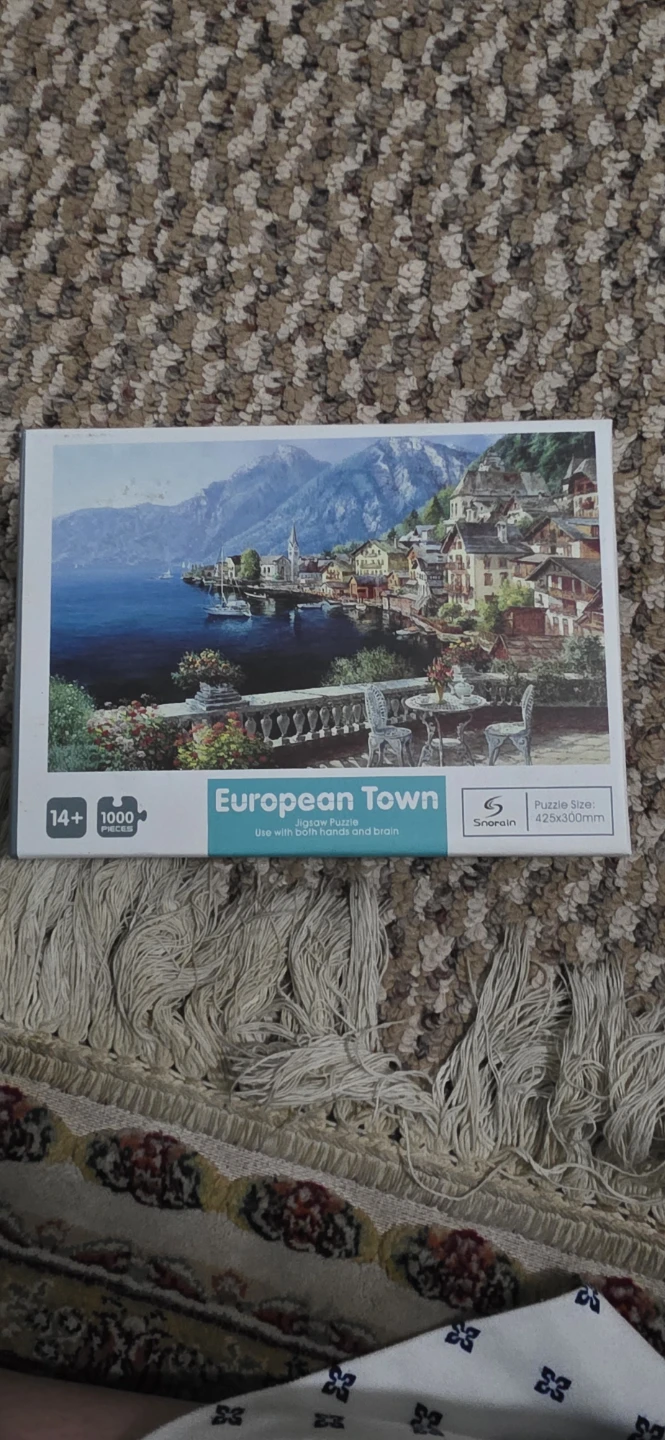 Snorain European Town 1000 Piece Jigsaw Puzzle