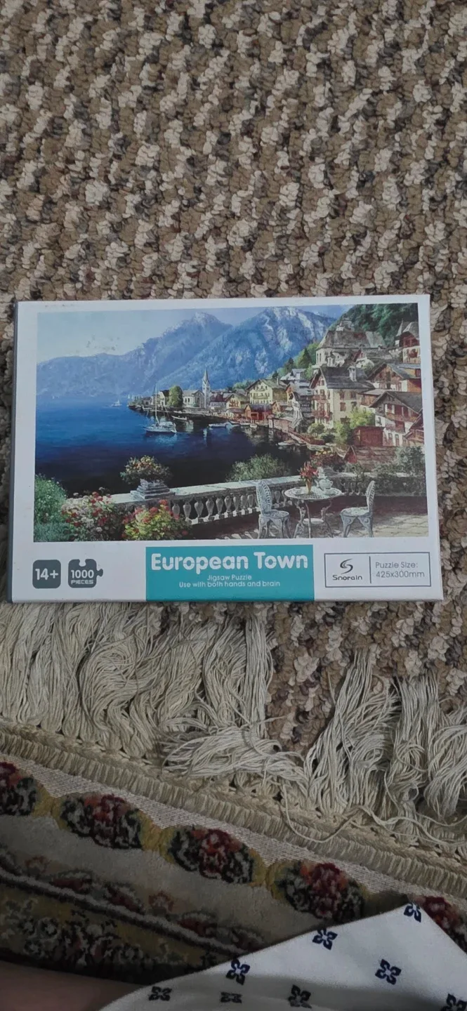 Snorain European Town 1000 Piece Jigsaw Puzzle