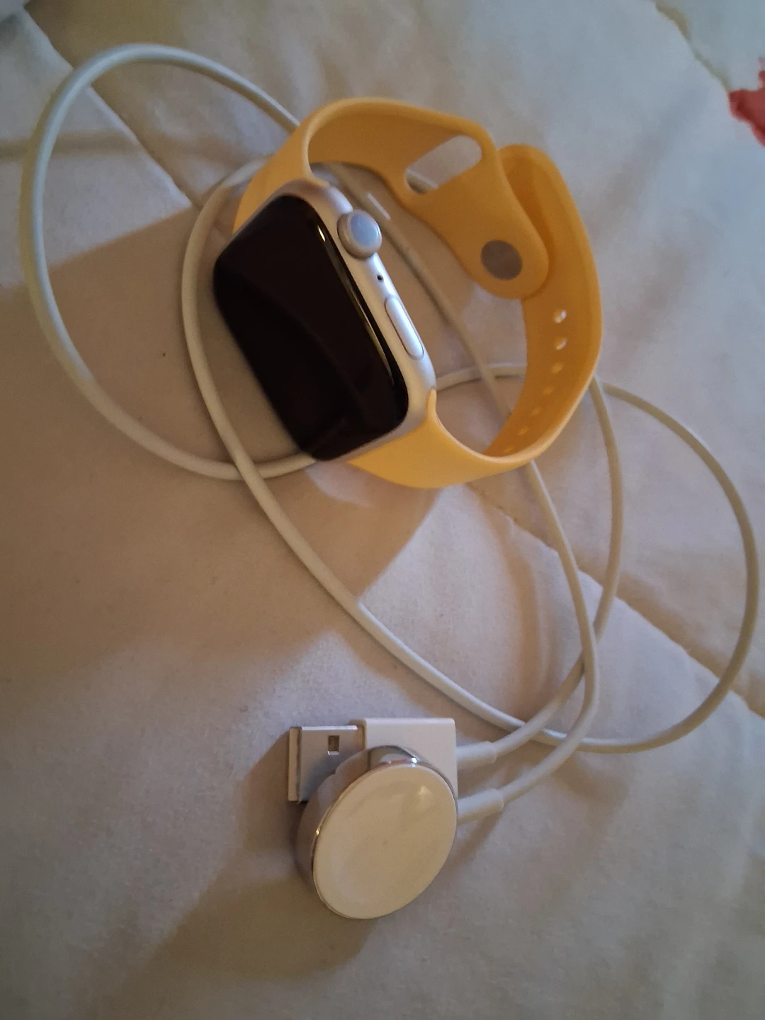 Apple Watch Series 9 (45mm)