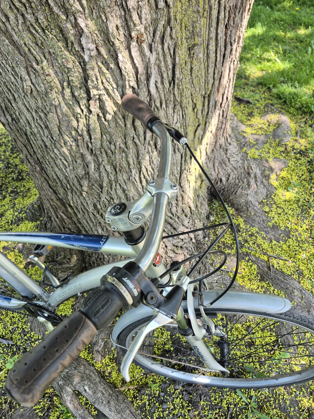 Schwinn Network Hybrid Bike 18" frame - photo 4