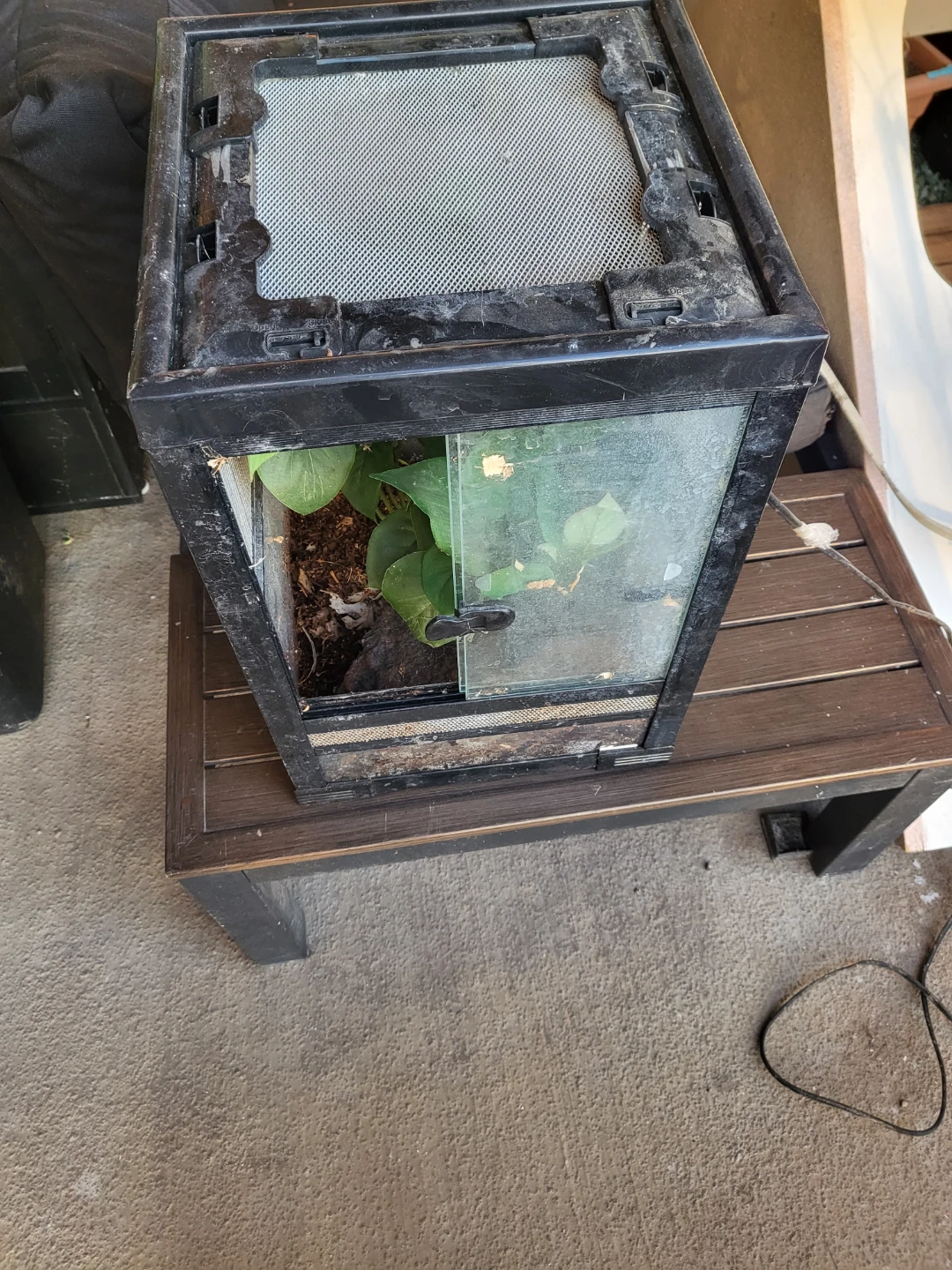 Terrarium with Sliding Glass Door
