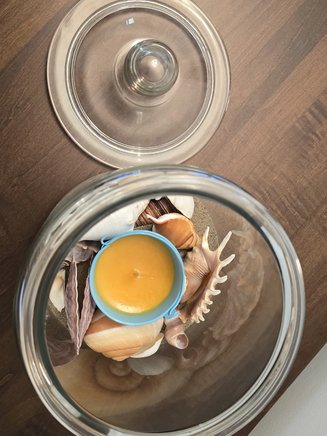 Glass Jar Candle with Seashells - photo 2