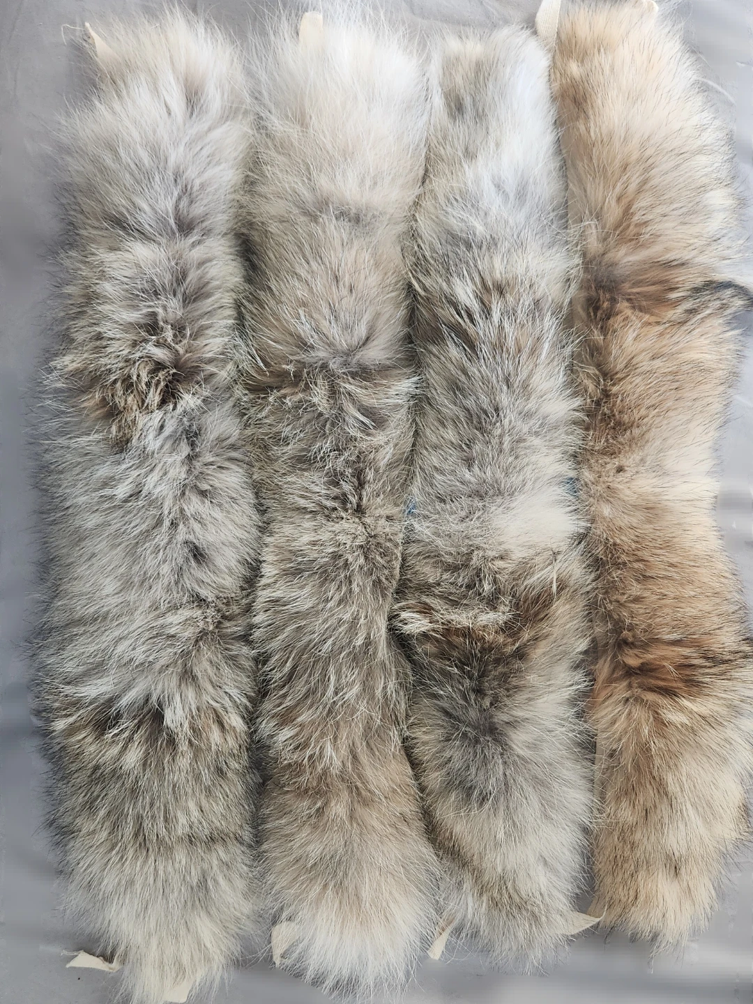 Real Coyote Fur for canada goose