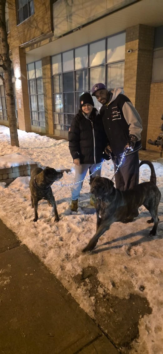 Dog Walker/Dog Jogging DUO -Midtown - photo 2