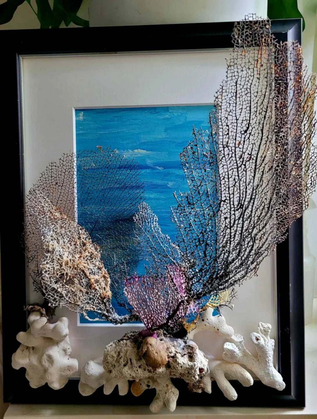 Framed Sea Fan and Coral Wall Art
