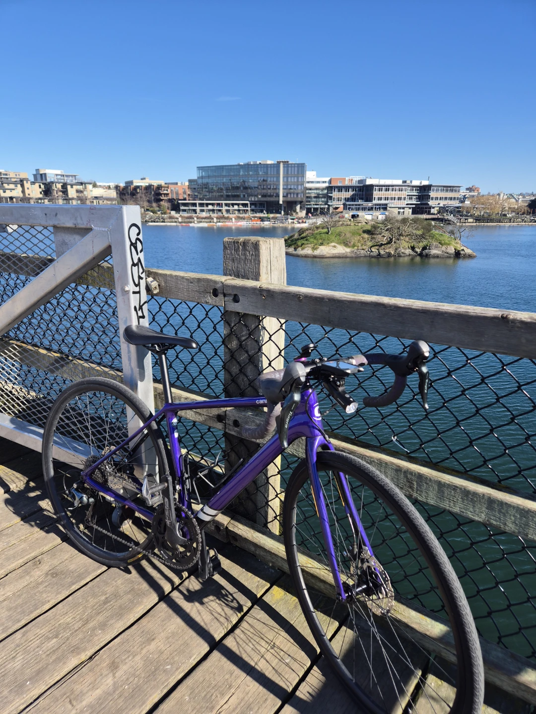 Cannondale Women Road Bike - Purple💜