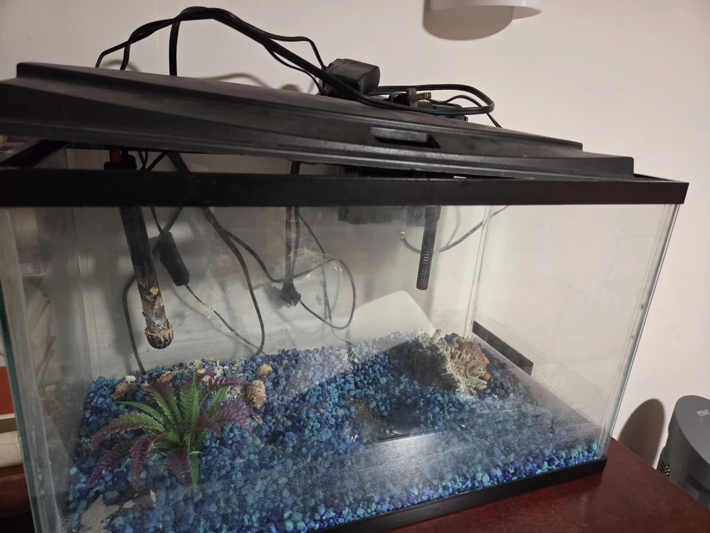 Glass Aquarium with Lid, Filter, Heater and Stand - photo 2