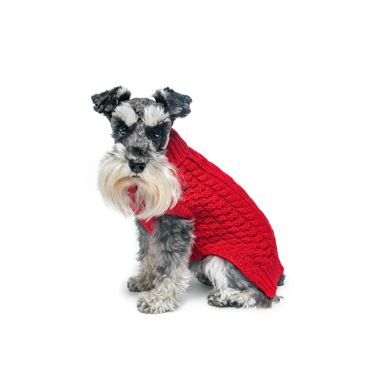 Dog Sweater - Size L