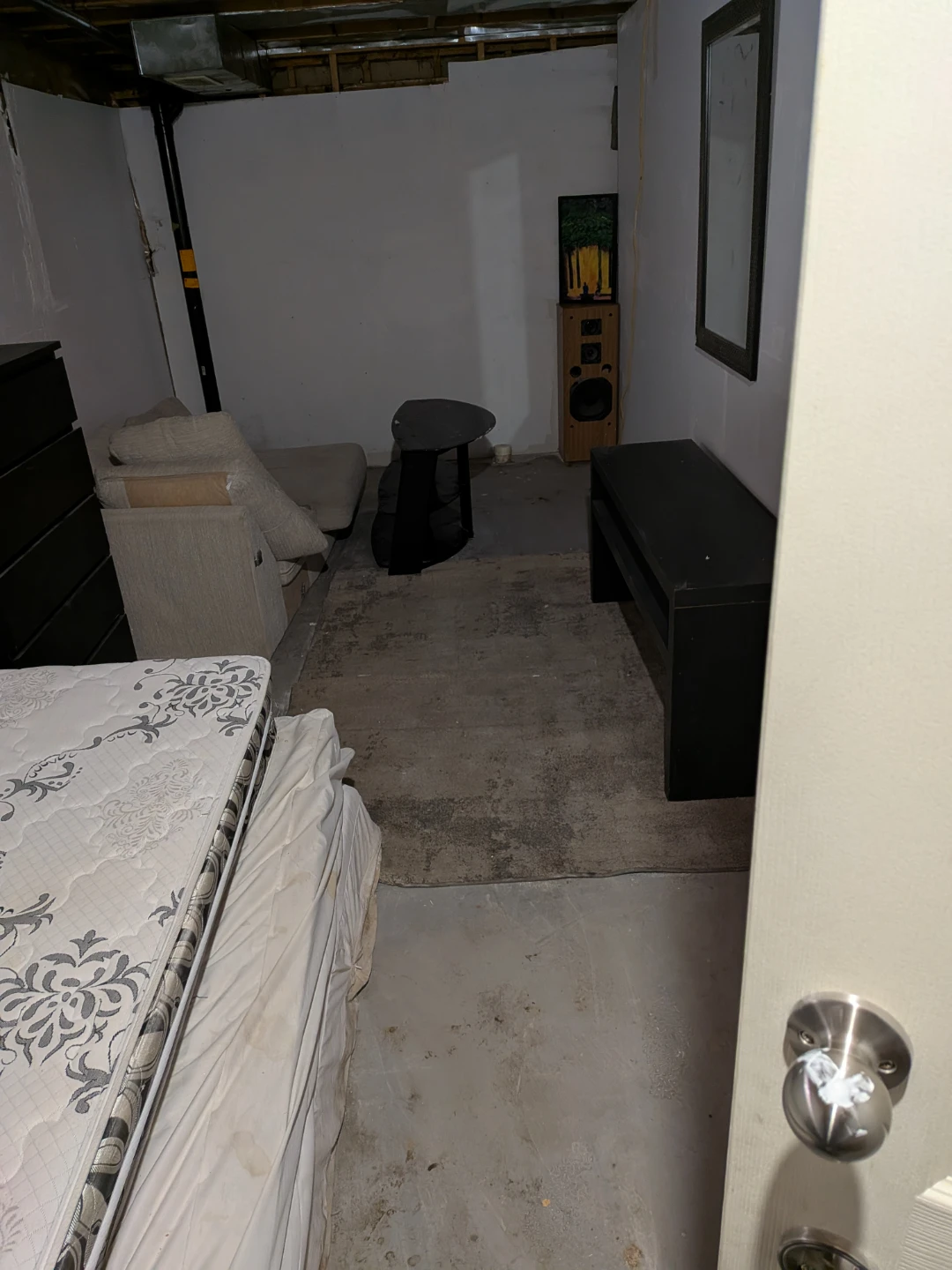 Basement Apartment (Newly renovated and being finished).