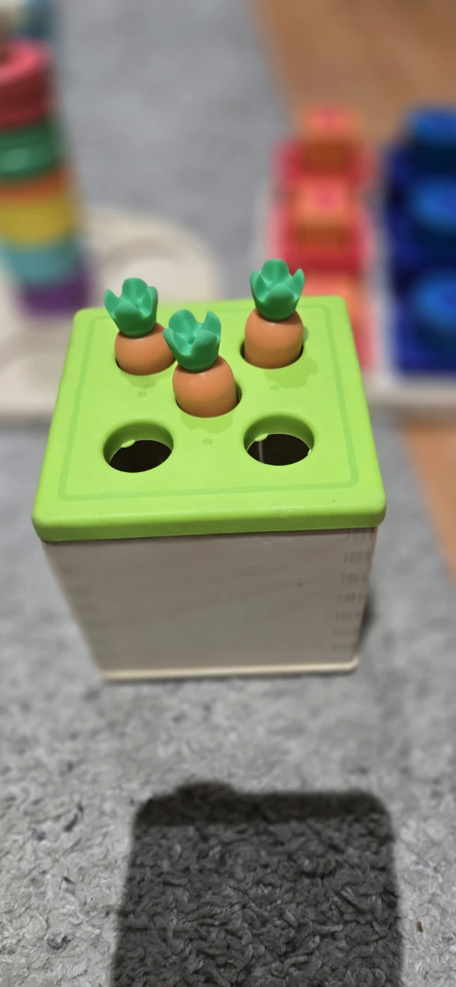 Wooden Stacking Rings & Shape Sorter Toys - photo 2