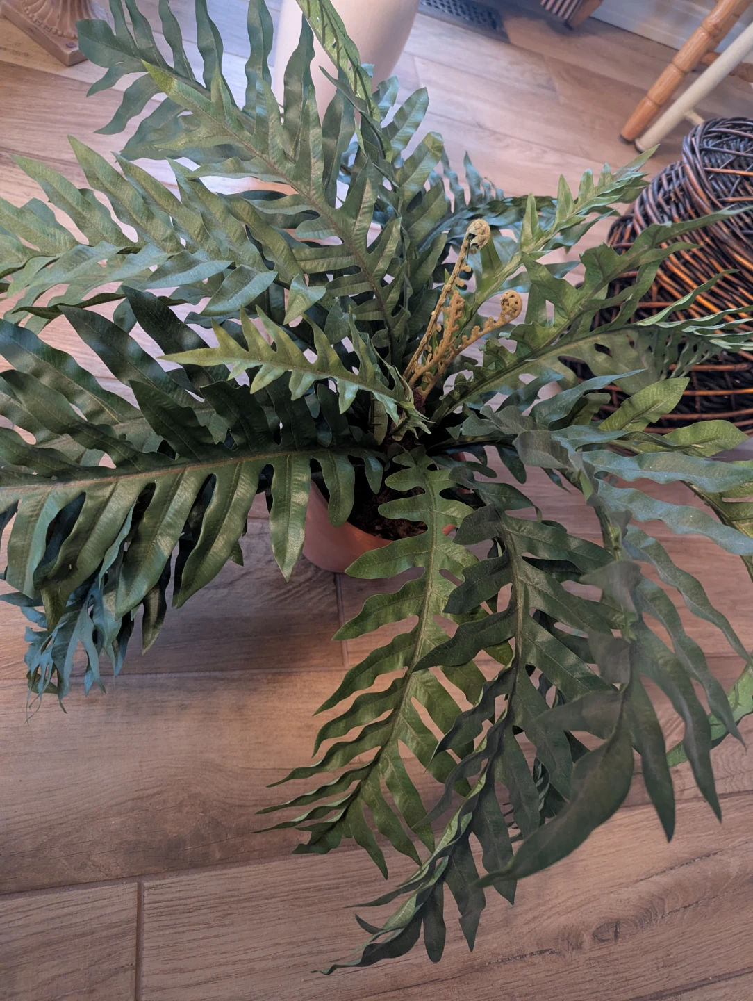 Assorted Artificial Plants