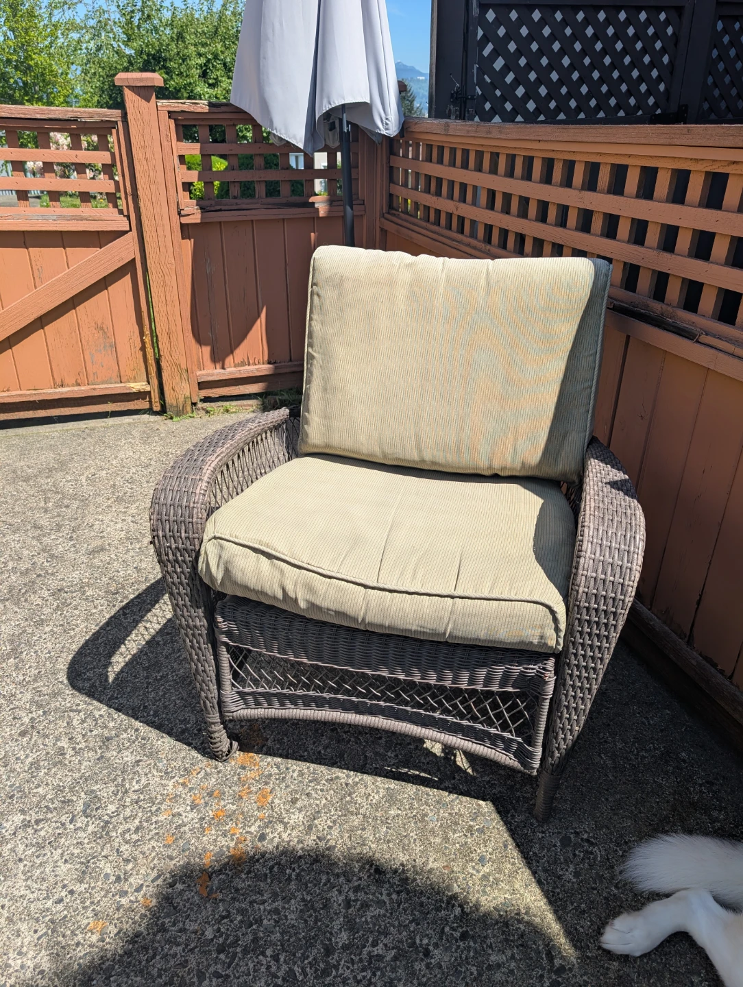 Martha Stewart Patio furniture set - photo 3