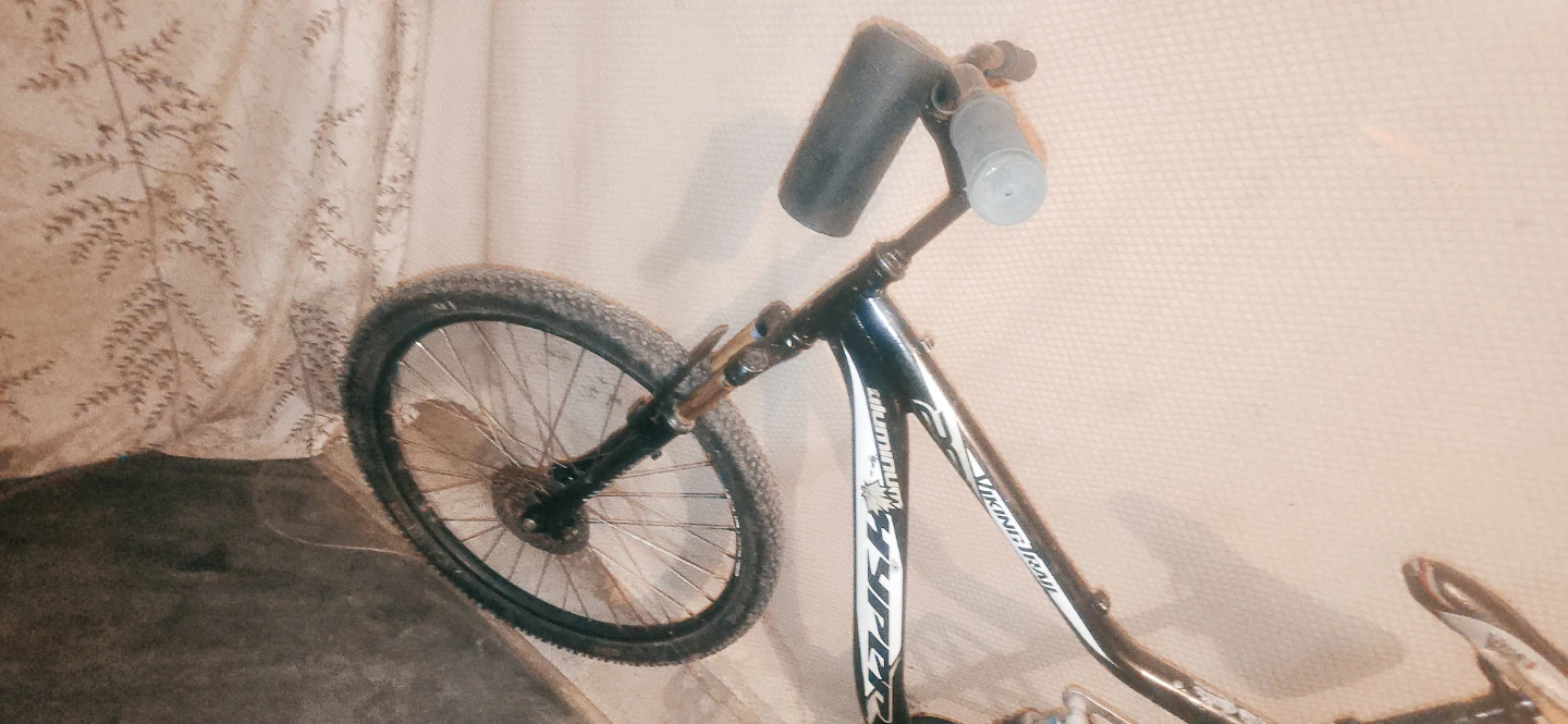Hyper Viking Trail Mountain Bike - photo 2